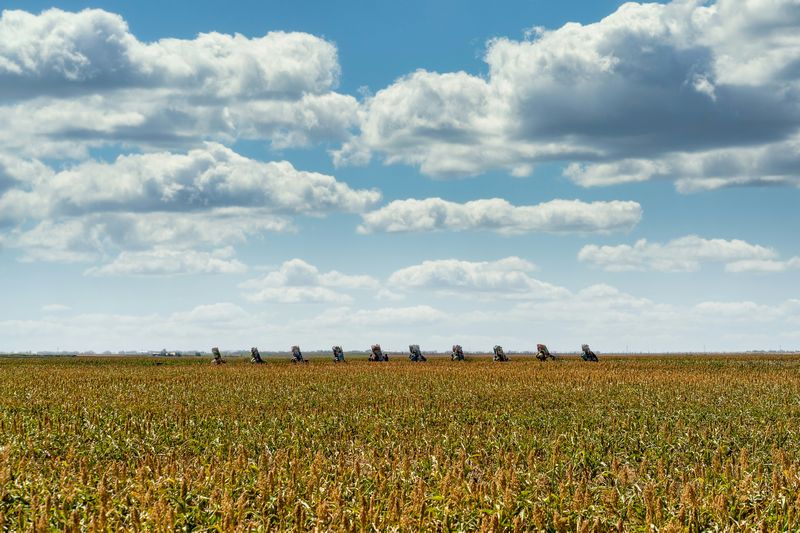 a farm field in Texas